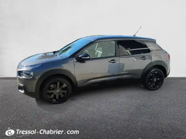 Citroën C4 cactus puretech 110 s&amp;s bvm6 shine — photo 20
