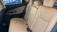 Lexus Nx 450h+ Executive 4WD — photo 12
