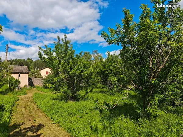 Vente terrain constructible Ispagnac