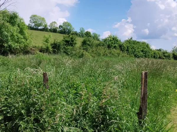21320 POUILLY EN AUXOIS - Terrain constructible 1202 m2 - Beaume commune de Créancey