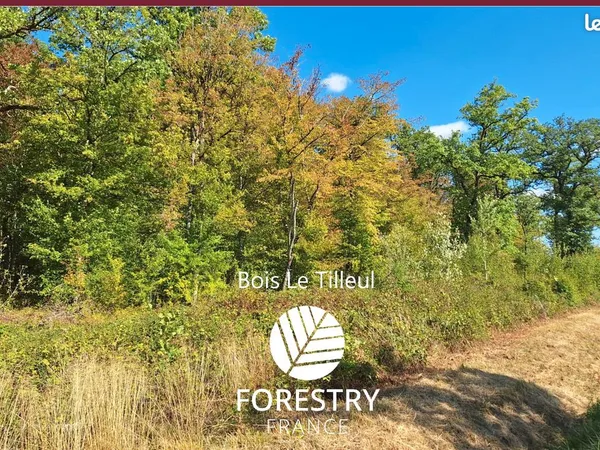 Foret de 10 ha à dominante de chêne - bourgogne-franche-comté