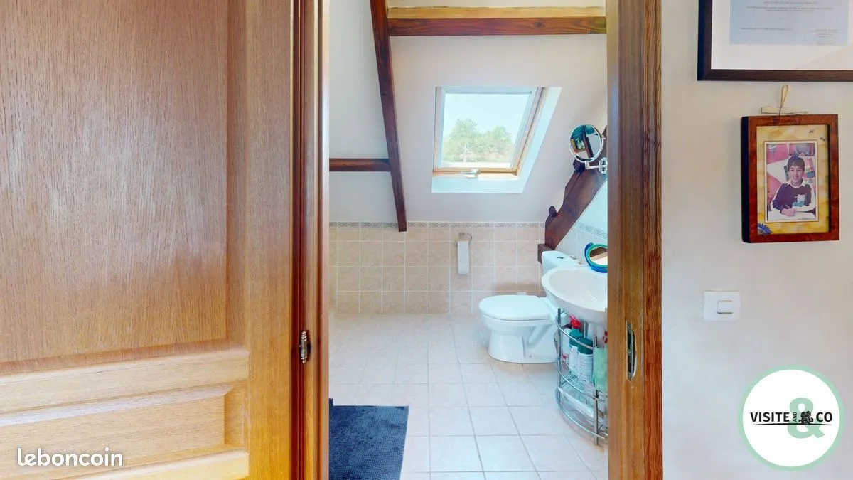 Photo 12