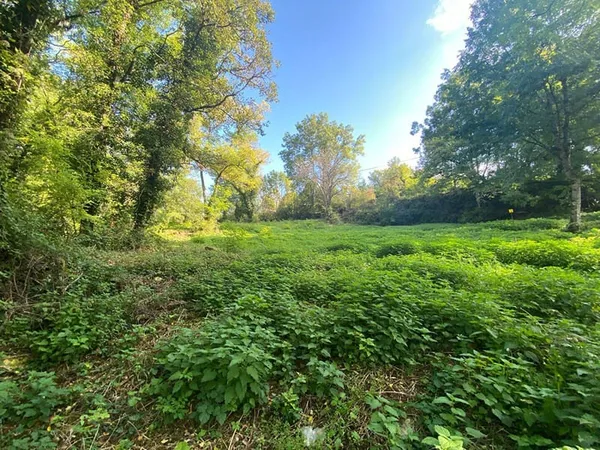 Terrain 7131 m²