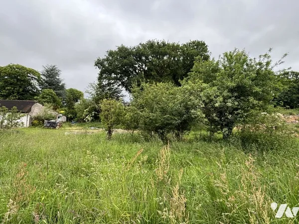 Terrain 2447 m²