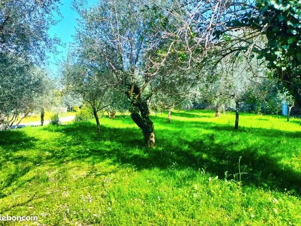 Terrain 1 000 m² Draguignan
