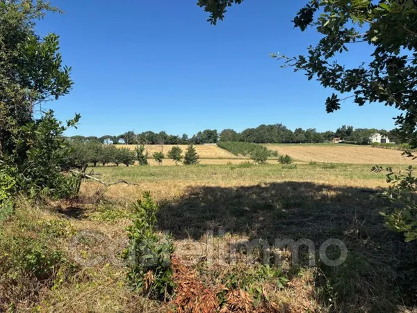 Terrain 6462 m²