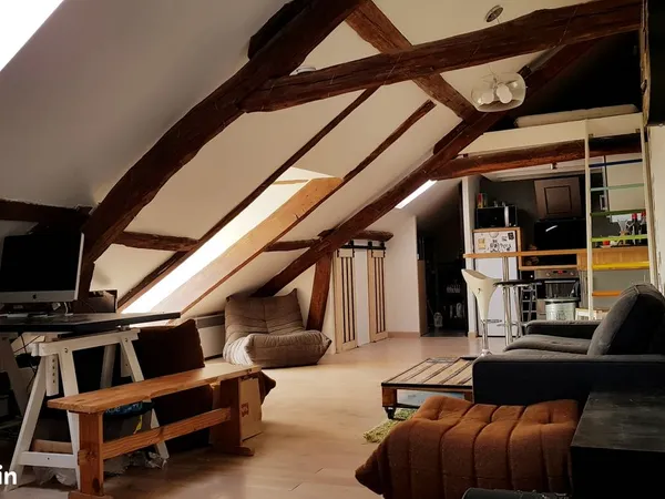 Loft atypique - 55 m² au sol - Vue sur le parc du château - Rambouillet hypercentre