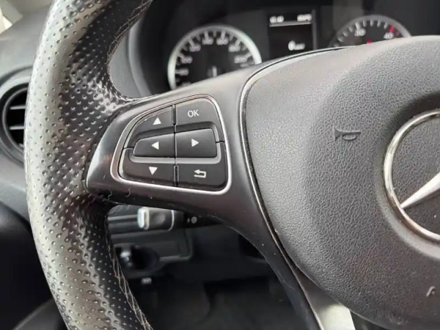 Mercedes Vito 119 bluetec 4x4 mixto long sel — photo 14
