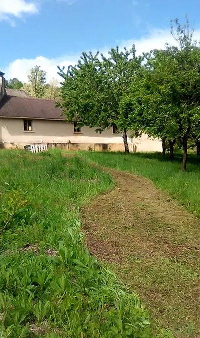 Photo 3