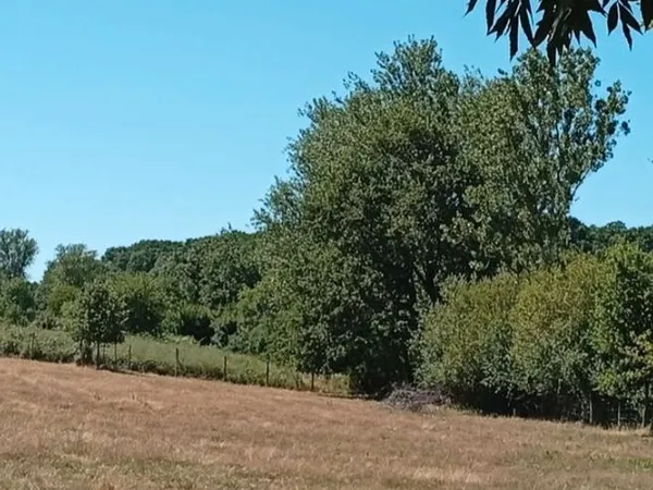 Terrain avec CU de 4468m2