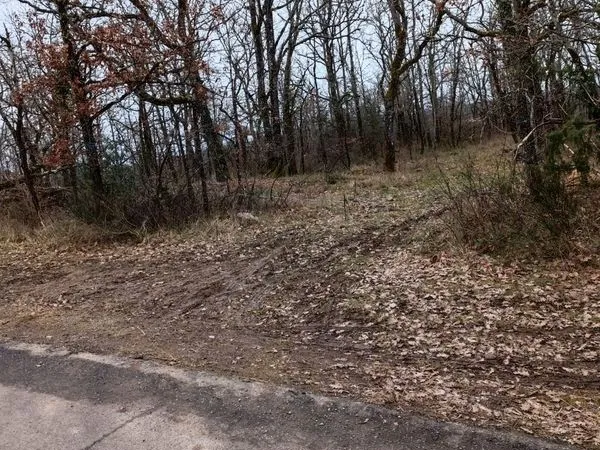 Terrain boisé