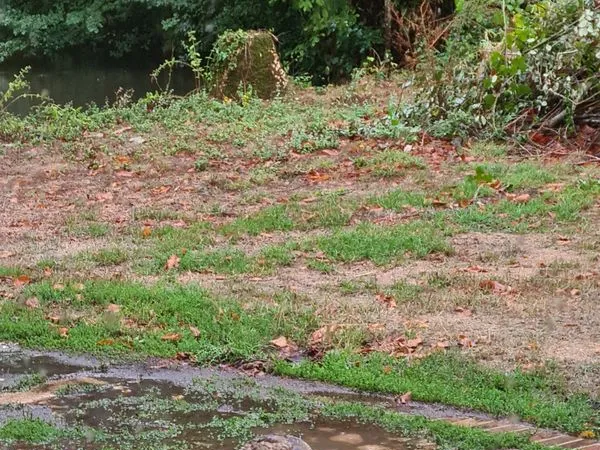 TERRAIN à BÂTIR de 3 320 m² à DANGEAU (28 160 ) avec possibilité de 2 maisons