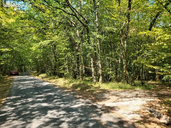 Terrain Vente Peyrillac-et-Millac  2000m² 600€
