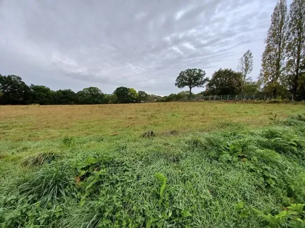 Terrain 385 m²