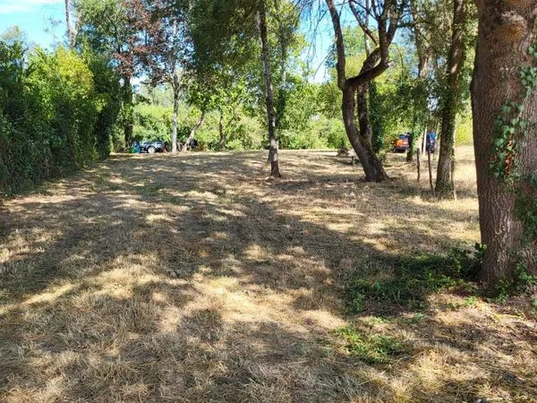 Vends coup de pêche