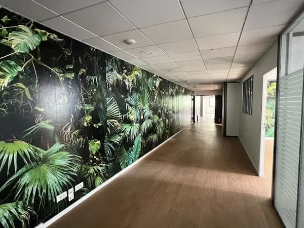 Local 260 m²