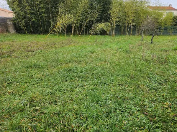 Maison neuve 6 pièces 240 m²