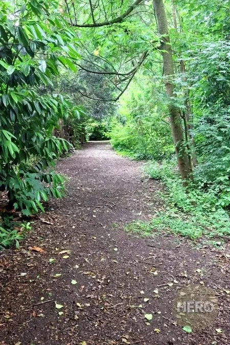 Photo 5