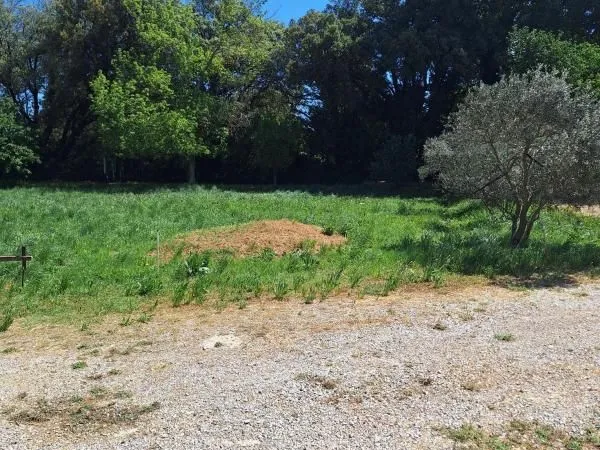 Terrain 420 m² Alleins