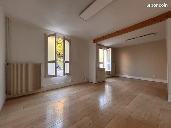 Location local professionnel