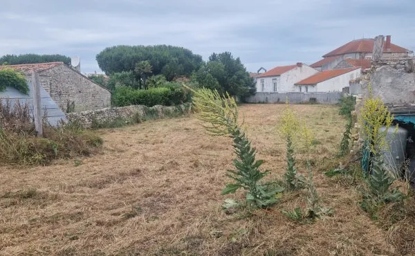 Terrain 871 m²