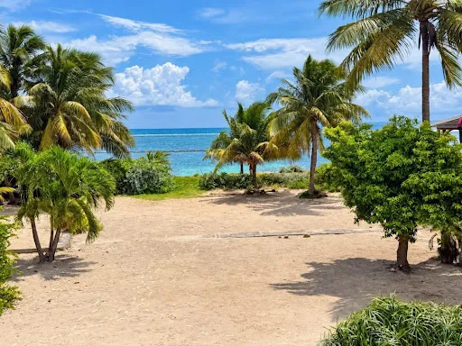 Propriété 10 pièces 292 m²