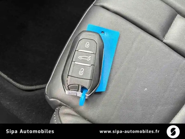 Ds Ds 3 ds3 crossback puretech 155 eat8 — photo 21