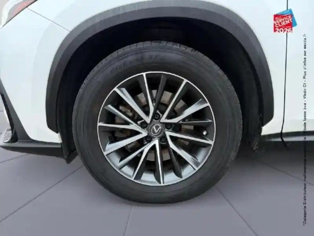 Lexus Nx 450h+ luxe 4wd — photo 25