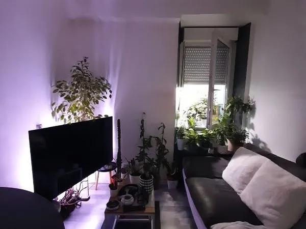 Loue studio 23 m2 coeur de ville