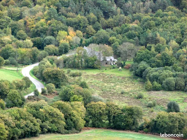 Propriété forestière, botanique et nourricière, Morbihan Sud