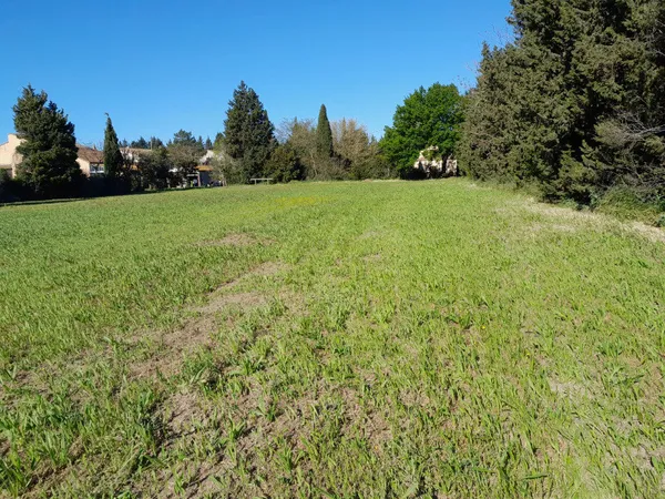 Terrain 250 m²