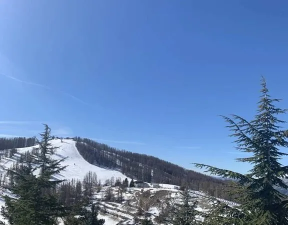 Terrain 520 m²