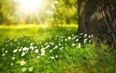Terrain 647 m²