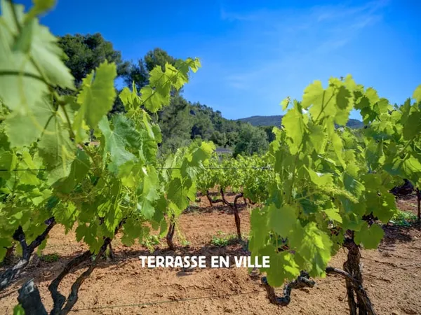 Maison 5 pièces 180m2 sur terrain de 18 500 m2