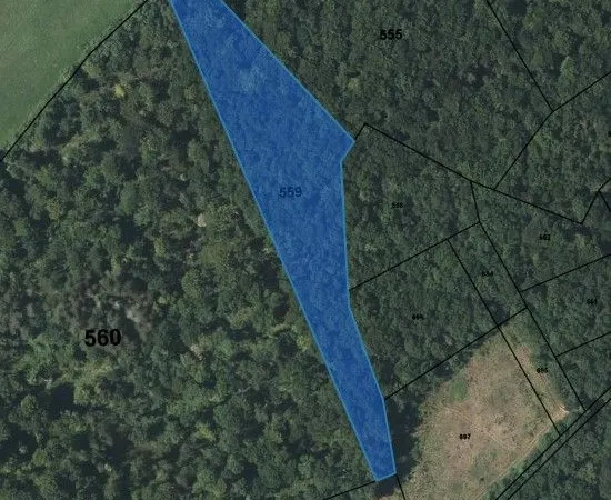 Parcelle forestière