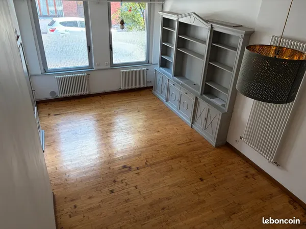 Superbe T2bis typé Loft - Proche VRU & métro Alsace