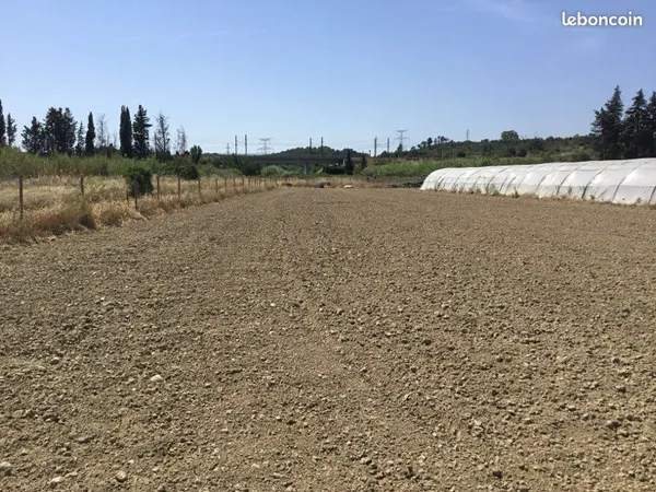 Terrain agricole