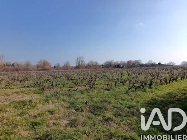 Terrain 14040 m²