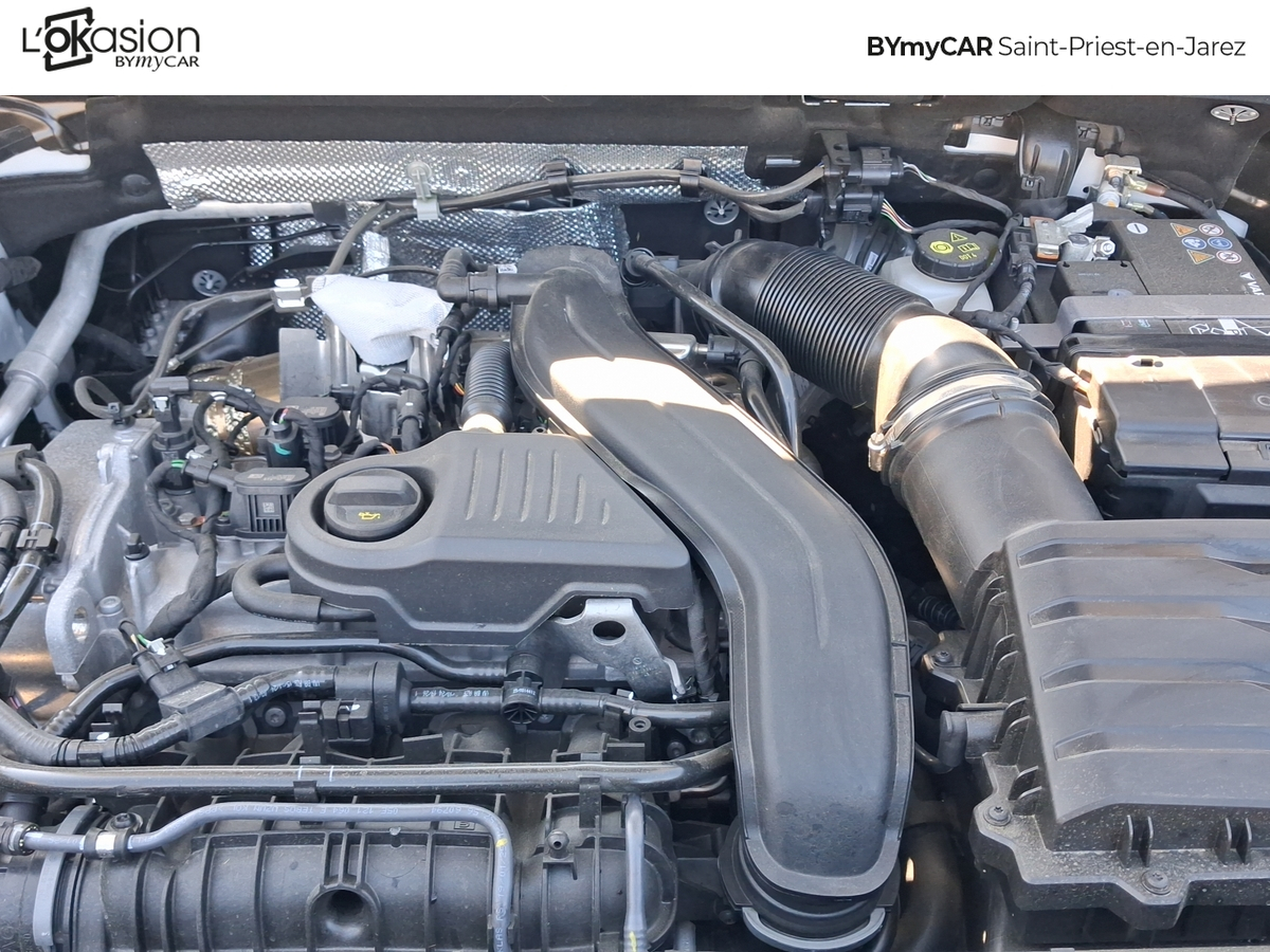 Cupra Terramar 1.5 eTSI Hybrid 150 ch DSG7 — photo 17
