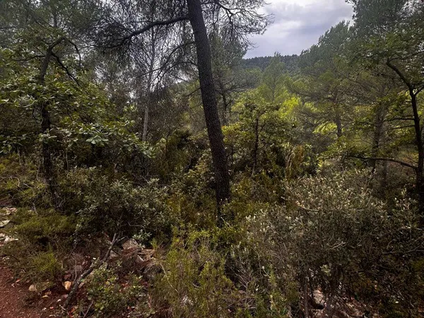 À VENDRE - PARCELLE B0133 - COLLET DE ROUGIER Vitrolles-en-Lubéron - Luberon