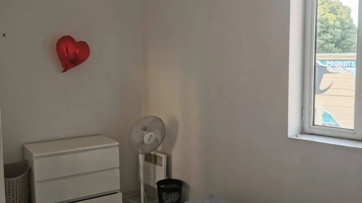 Photo 5