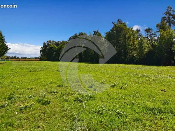 Terrain 11707 m² NEGREPELISSE