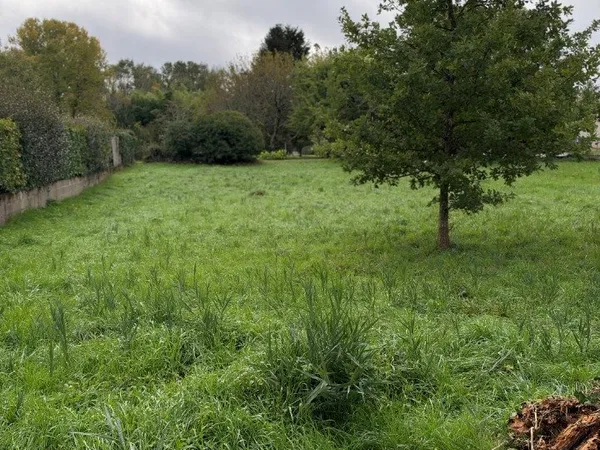Terrain 1254 m²
