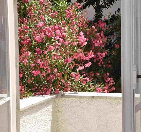 Appartement de 51m2 à louer sur Nice