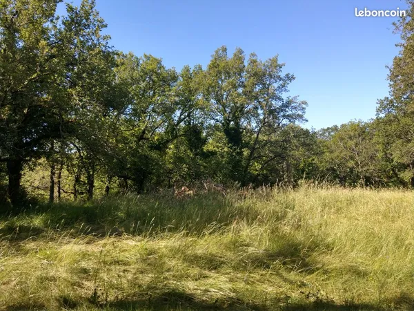 Terrain constructible viabilisé — 2 000 m² — Le Vigan-en-Quercy (46300)