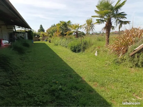 Maison individuelle avec terrain