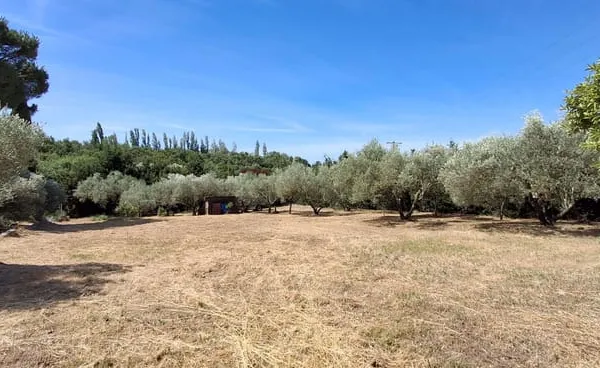 MONTFRIN SUPERBE TERRAIN A BATIR