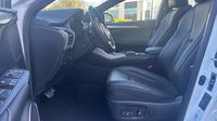 Lexus Nx 300h 4WD F SPORT Executive MM19 — photo 12