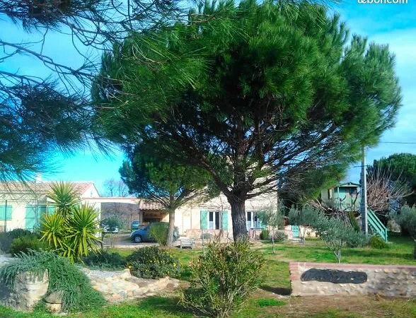 Location mas