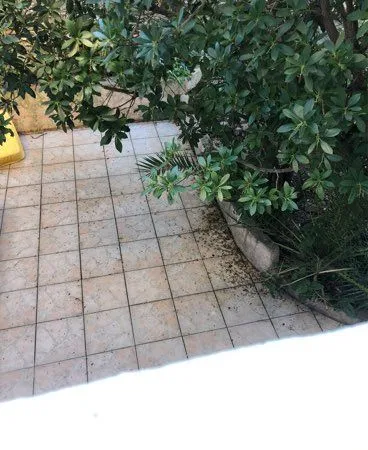 Type 3 jardin chartreux,chutes lavie